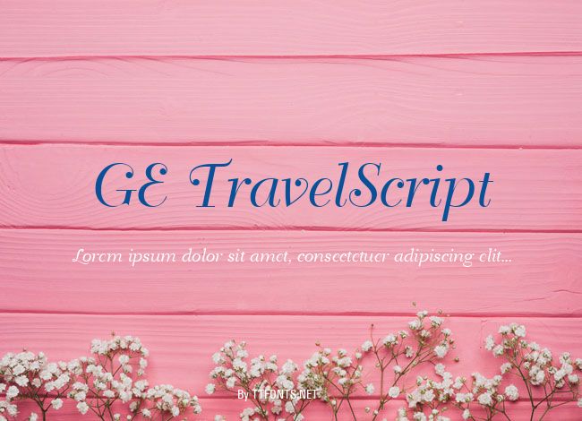 GE TravelScript example